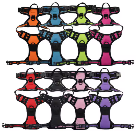 HarnEase™ — Arnés Anti-tirones Premium