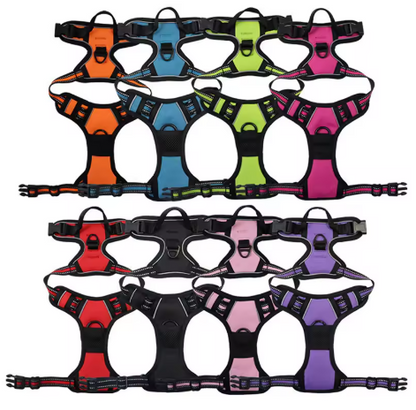 HarnEase™ — Arnés Anti-tirones Premium