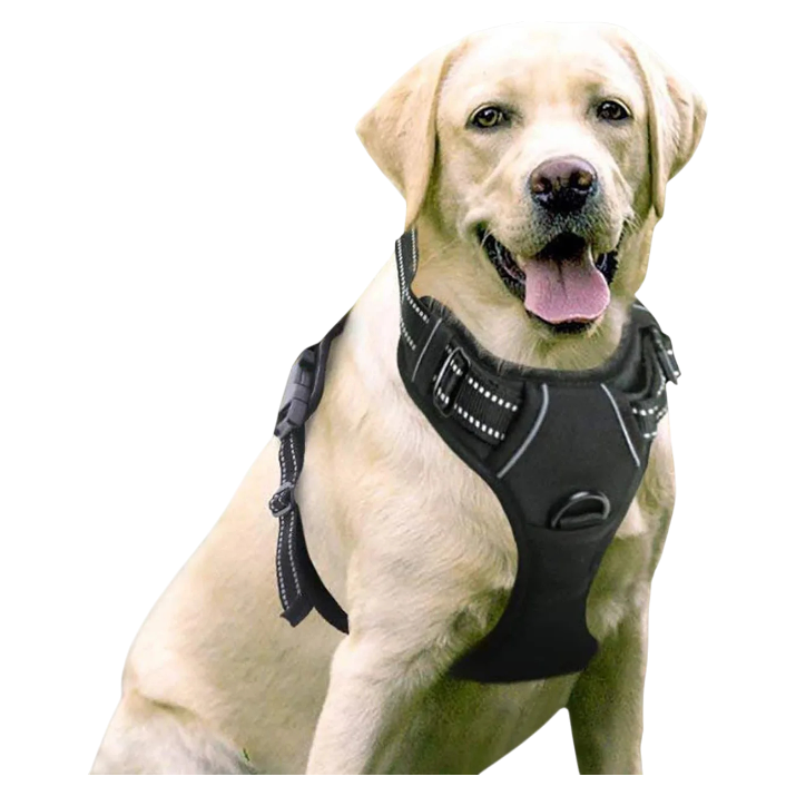 HarnEase™ — Arnés Anti-tirones Premium