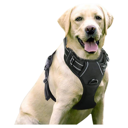 HarnEase™ — Arnés Anti-tirones Premium