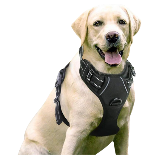 HarnEase™ — Arnés Anti-tirones Premium