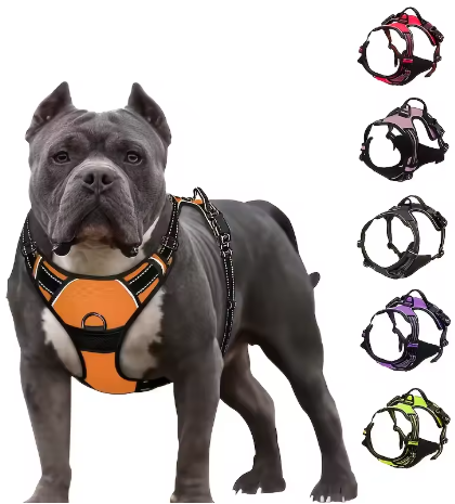 HarnEase™ — Arnés Anti-tirones Premium